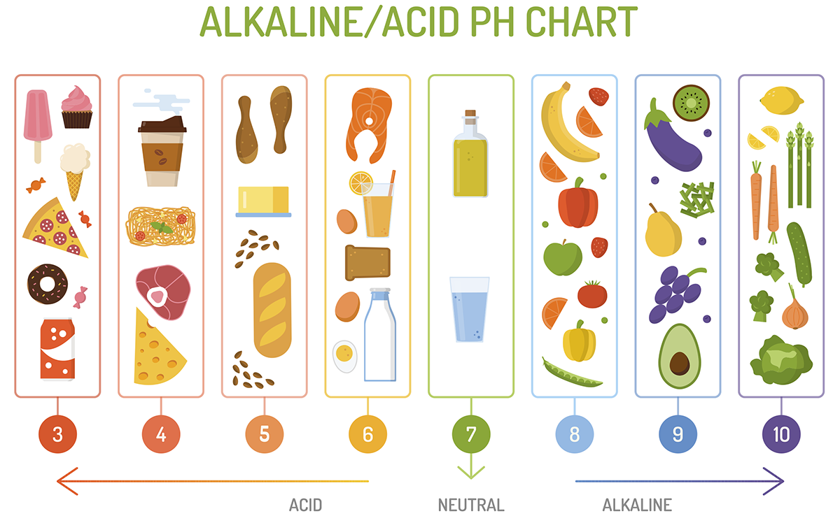 Alkaline Acidic PH Foods