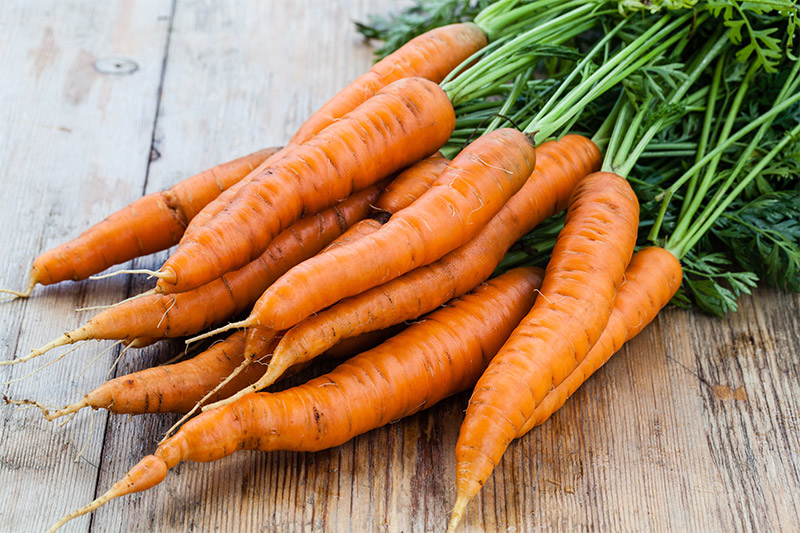 Bunch of Carrots