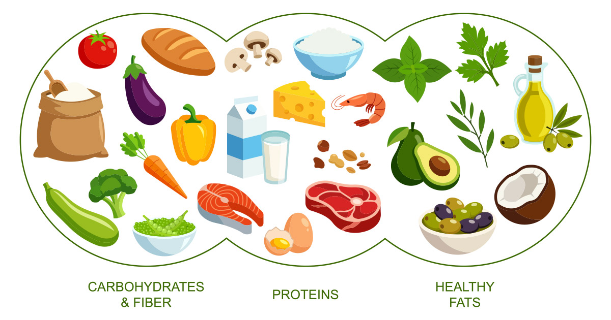 Carbohydrates Protein Fats Diagram