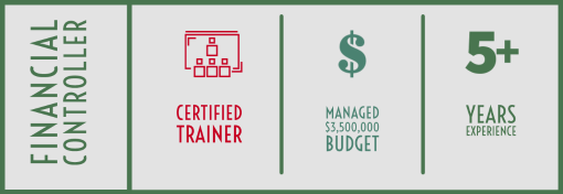 Financial Controller Occupation