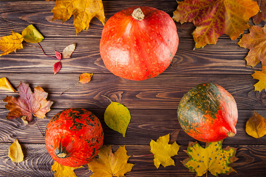 Hokkaido Pumpkins