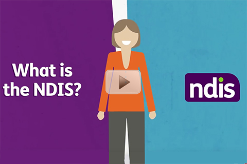 What is the NDIS Video